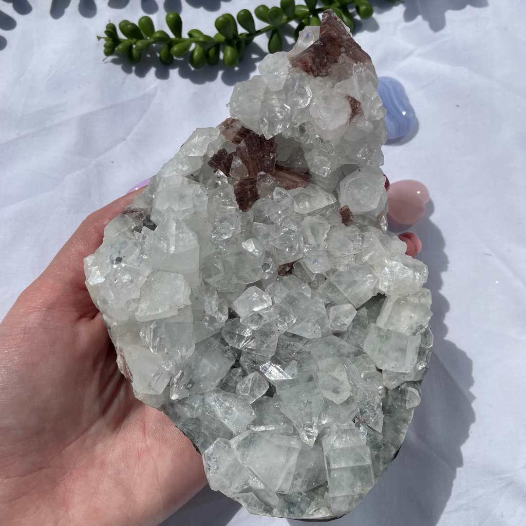 Apophyllite Cluster P