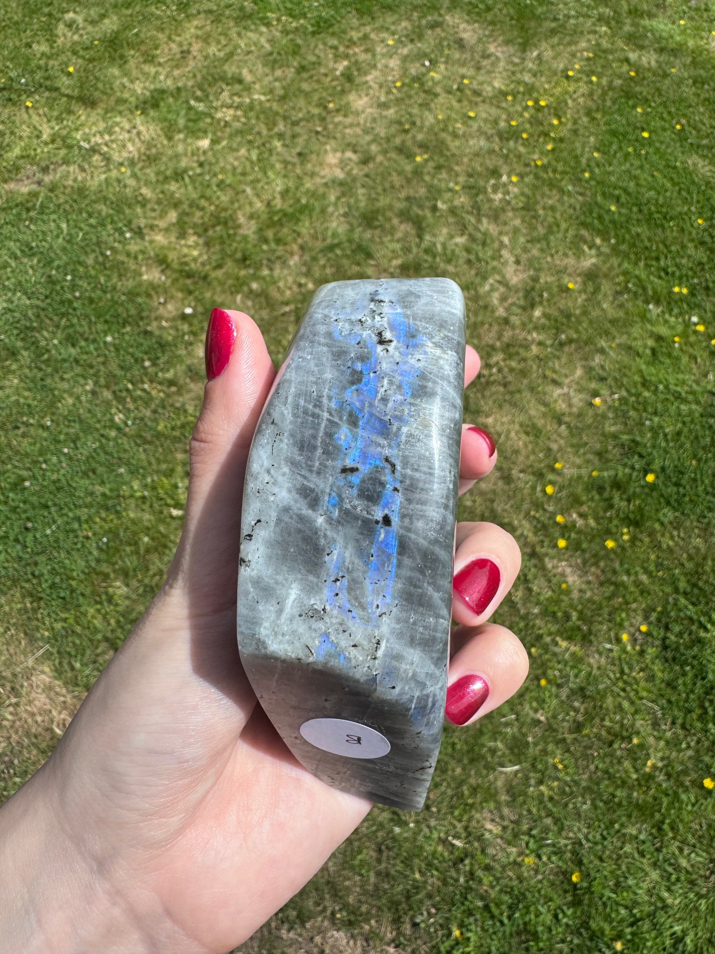 Gold Flash Labradorite Freeform B