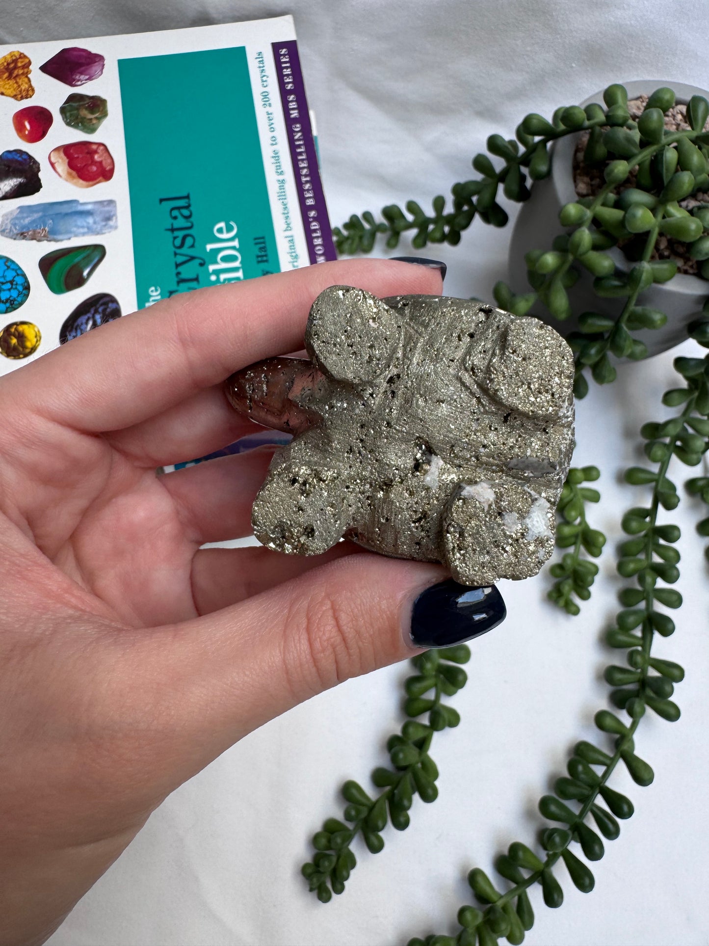 Peruvian Pyrite Turtle