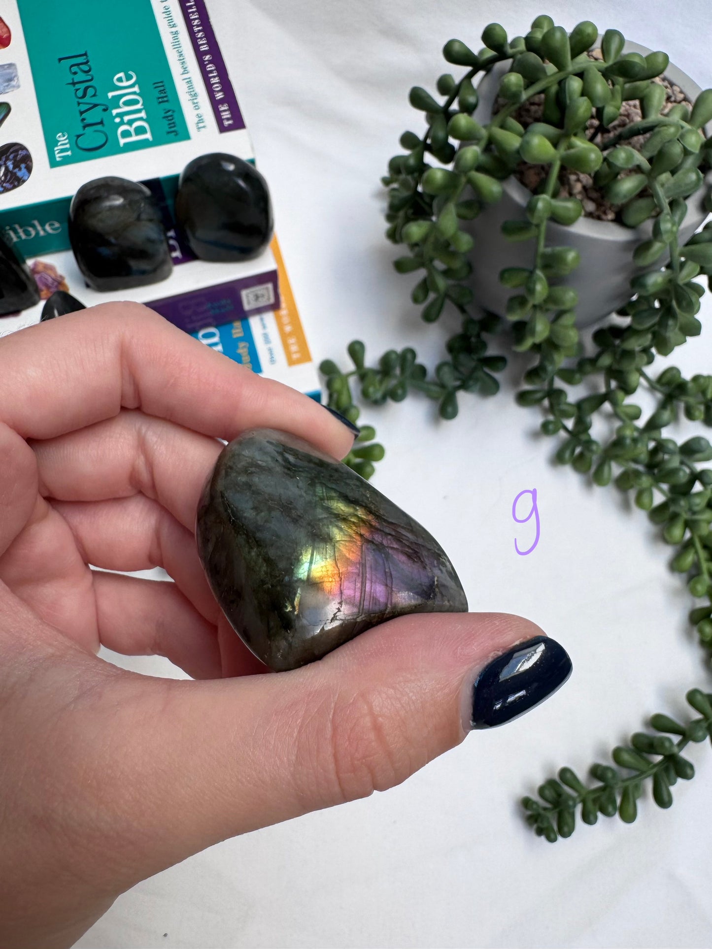 Small Labradorite Freeforms