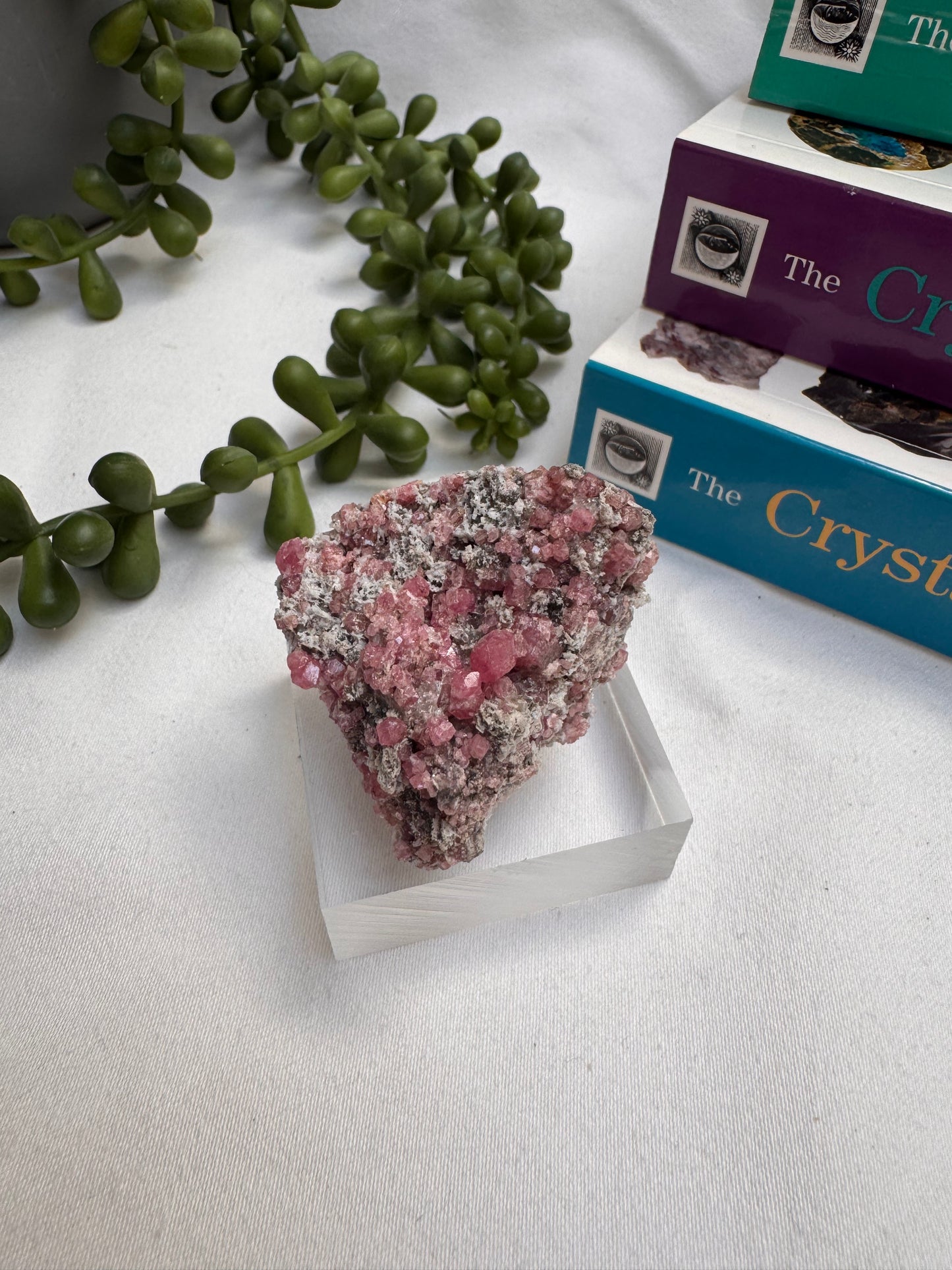 Pink Garnet Specimen