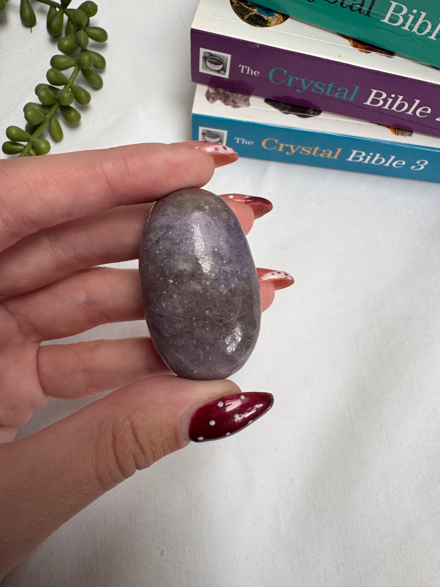 Lepidolite Palmstones | Rehomed