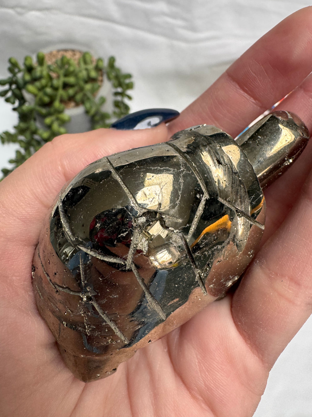 Pyrite Tortoise | Peruvian Pyrite