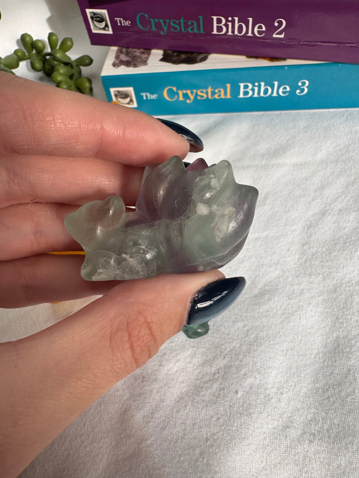 Fluorite Foxes + Turtles