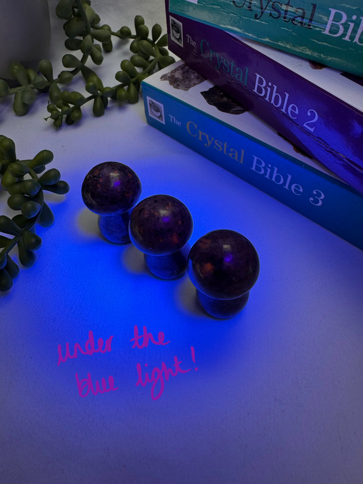 Yooperlite Mushrooms | UV Reactive