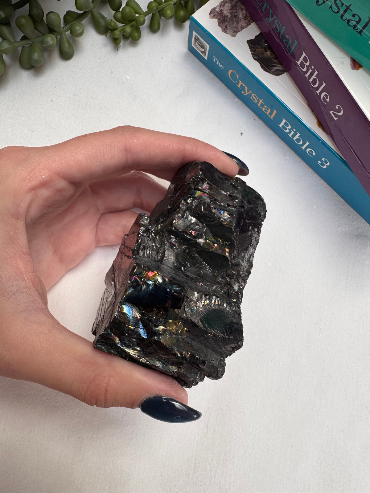 Raw Columbian Shungite | Statement Piece