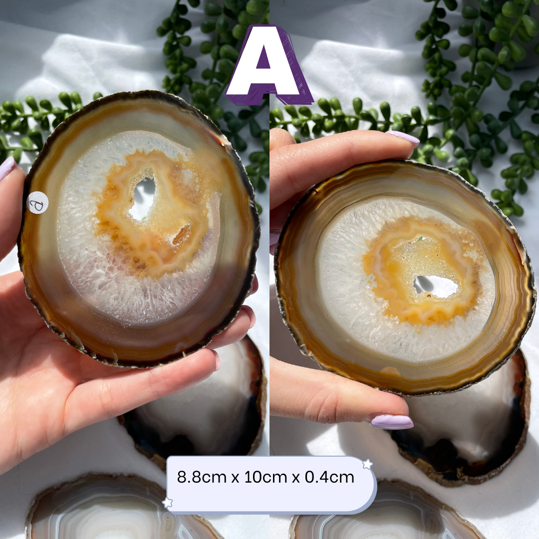 Large Agate Slices