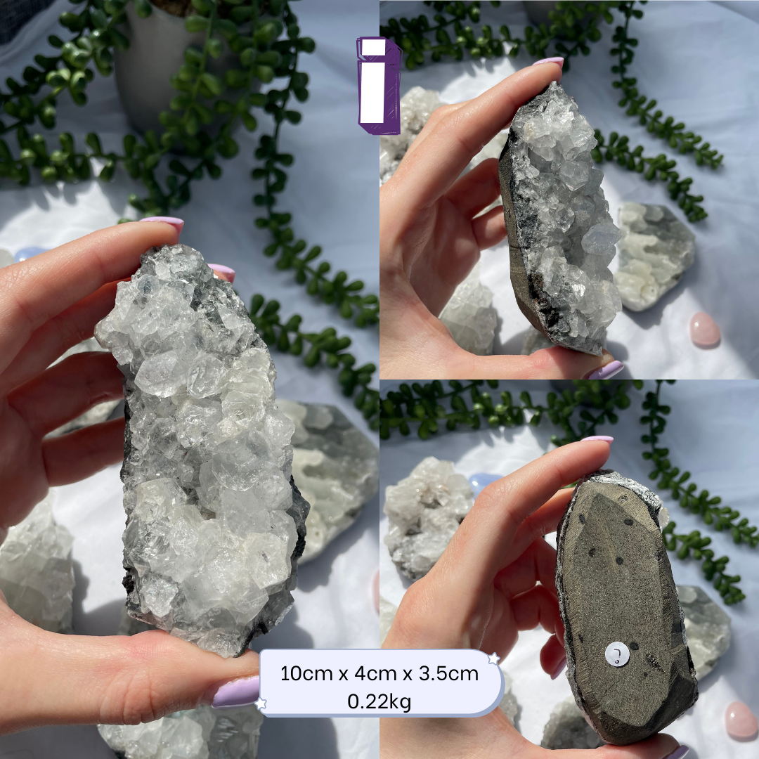 Medium Apophyllite Clusters