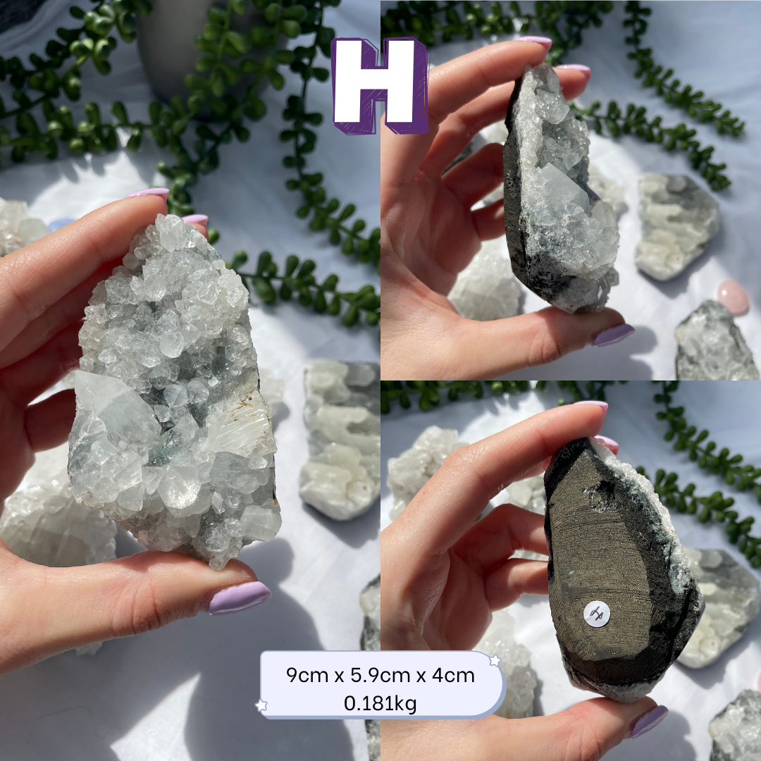 Medium Apophyllite Clusters