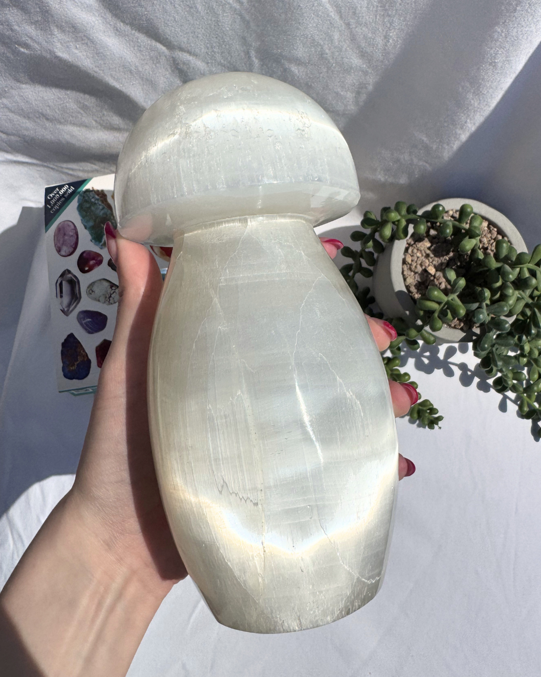 Selenite Mushroom Lamps