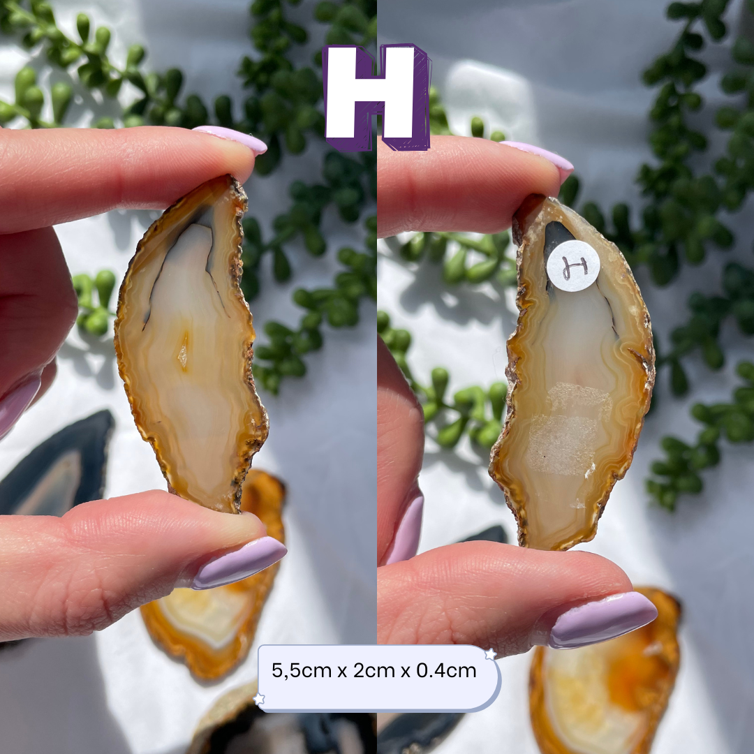 Medium Agate Slices