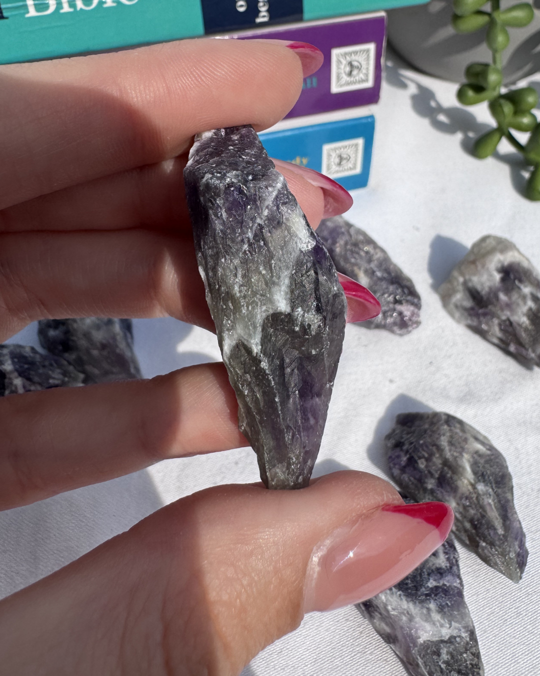 Small Banded Amethyst Roots