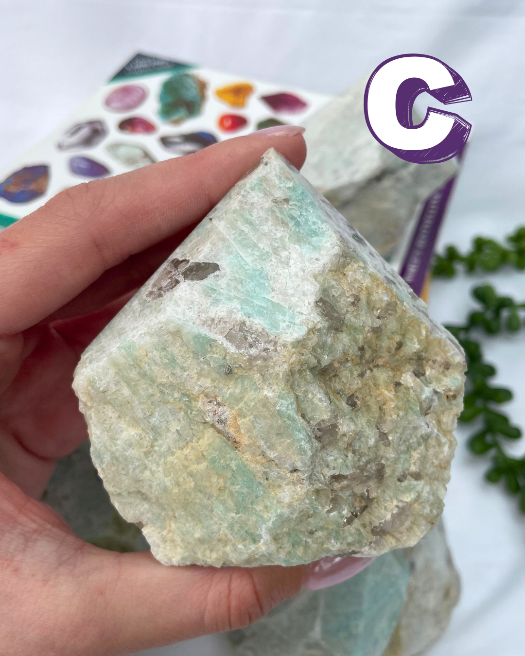 Amazonite 1/2 Polished Points