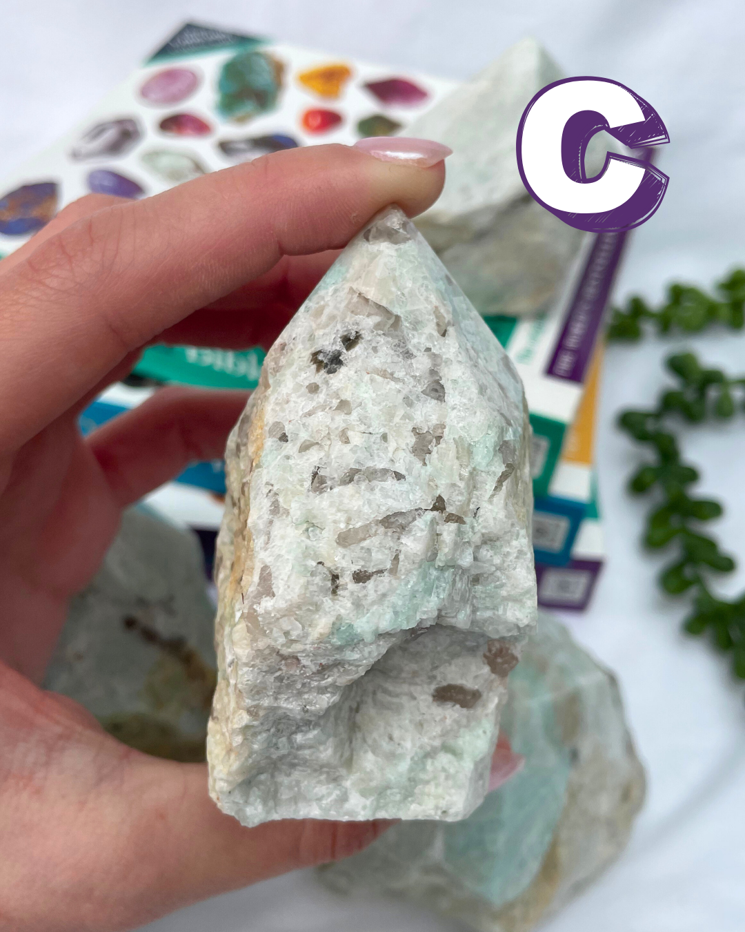 Amazonite 1/2 Polished Points