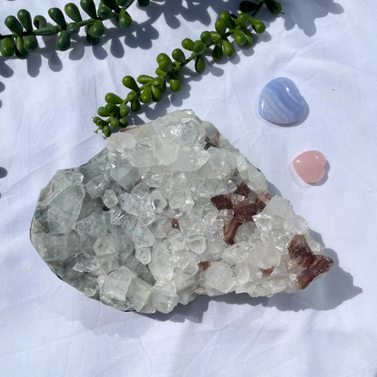 Apophyllite Cluster P