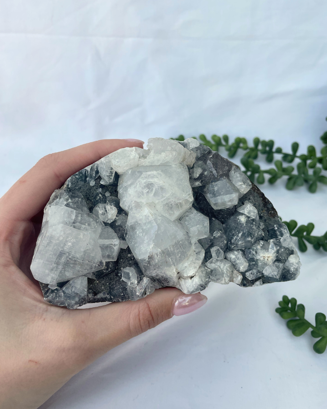Apophyllite Cluster R
