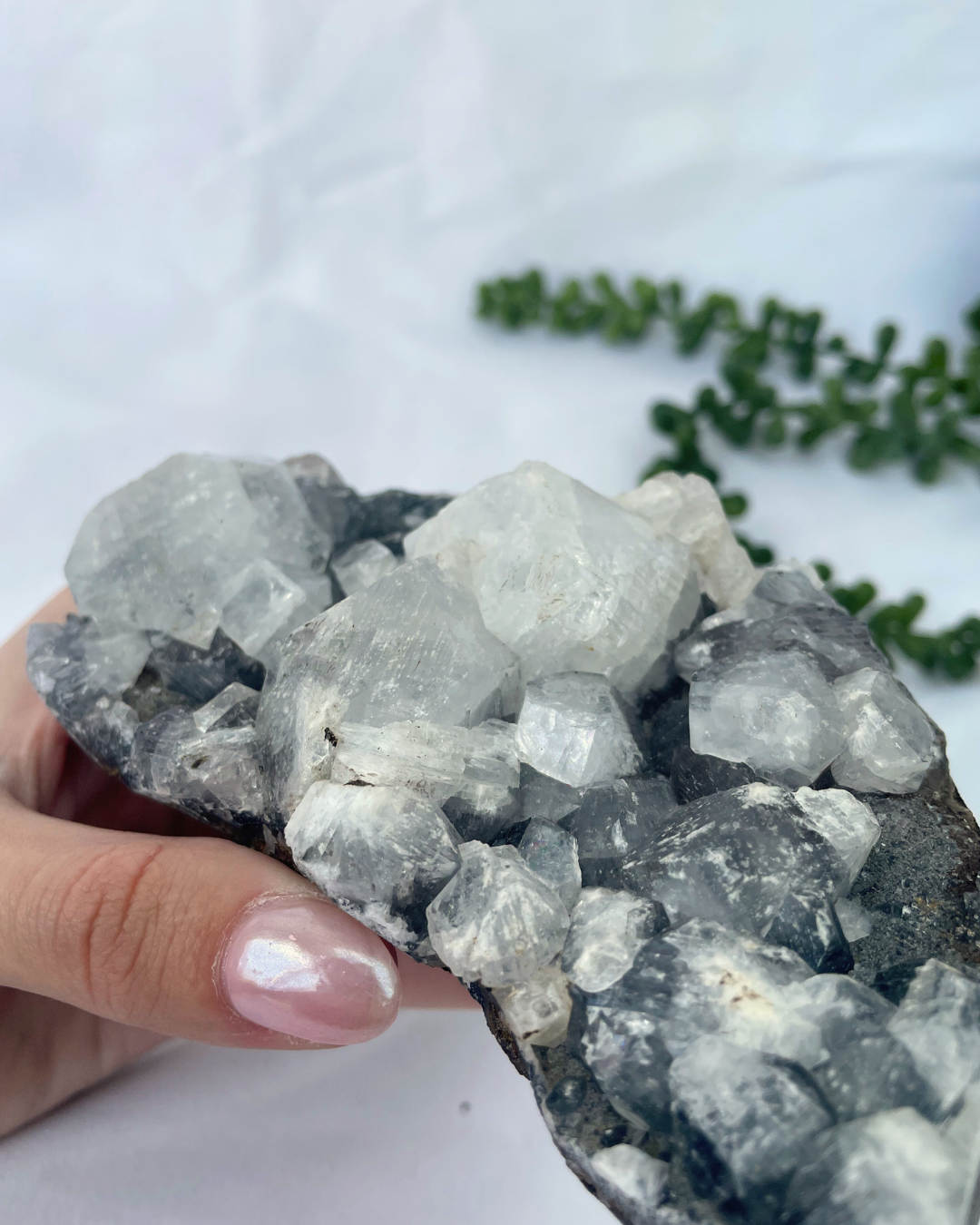 Apophyllite Cluster R