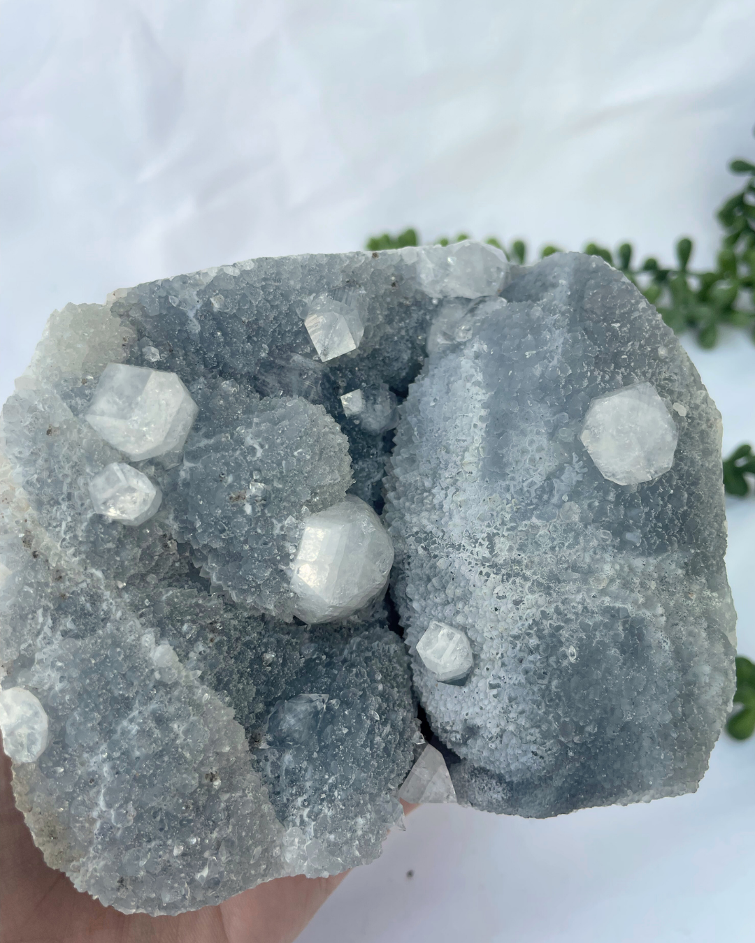 Apophyllite Cluster S