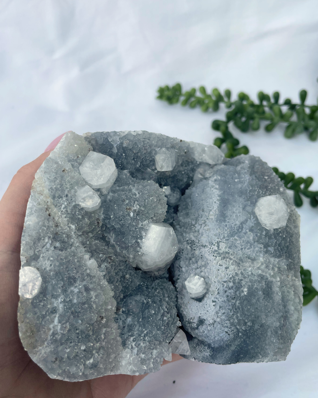 Apophyllite Cluster S