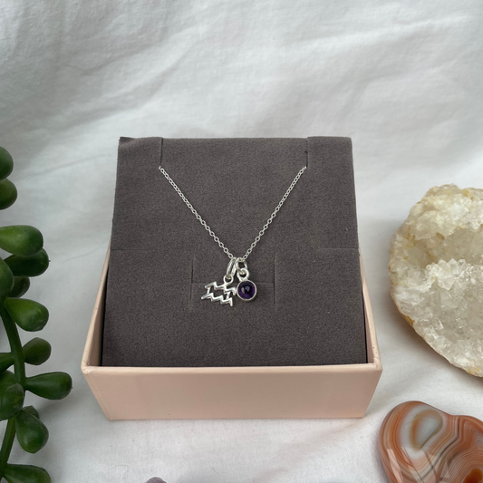 February Aquarius + Amethyst Necklace | February Birthstone Zodiac Necklace | Sterling Silver | 18 Inch