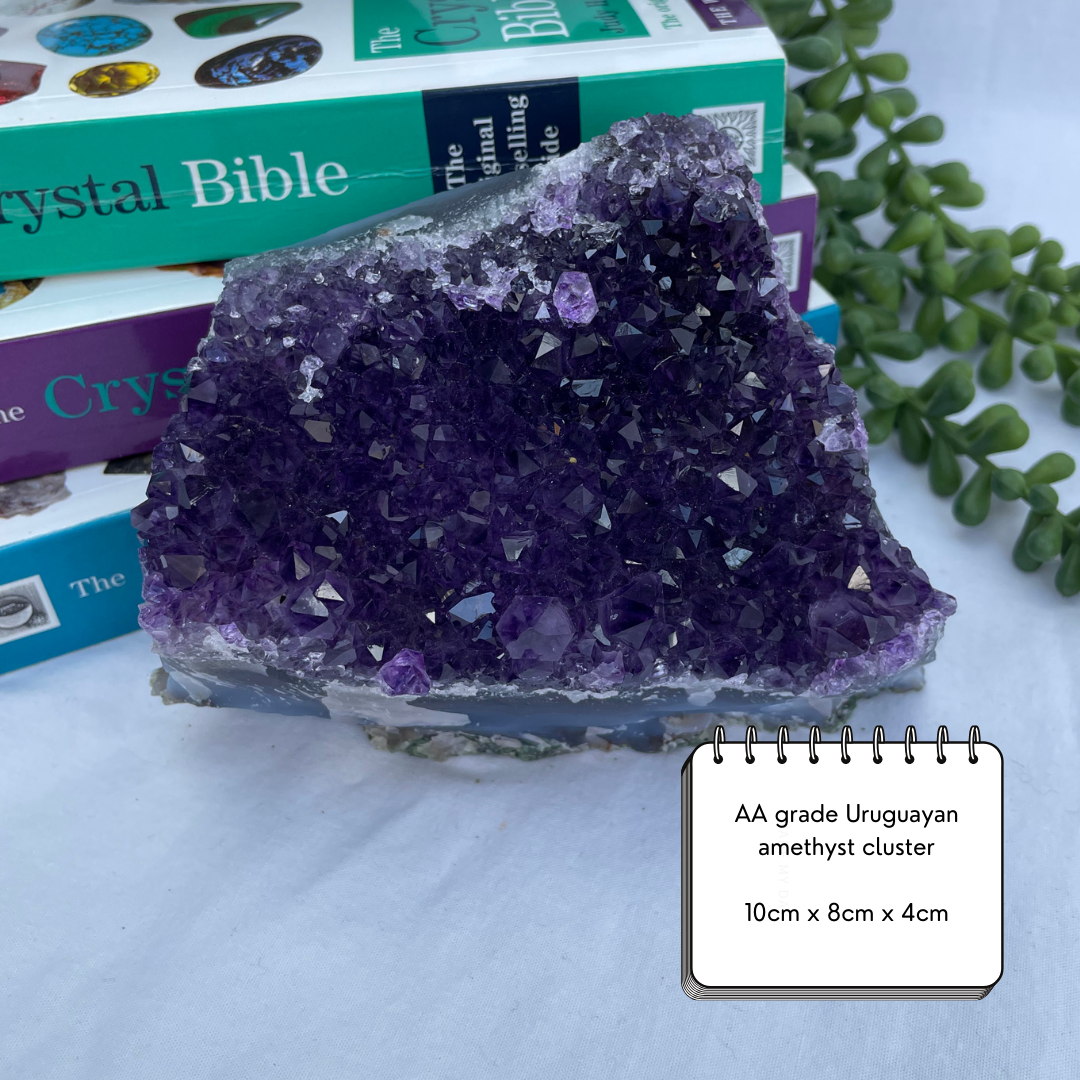 Amethyst Cluster | AA Grade | Uruguayan