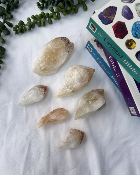 Citrine Raw Roots | Oven Baked