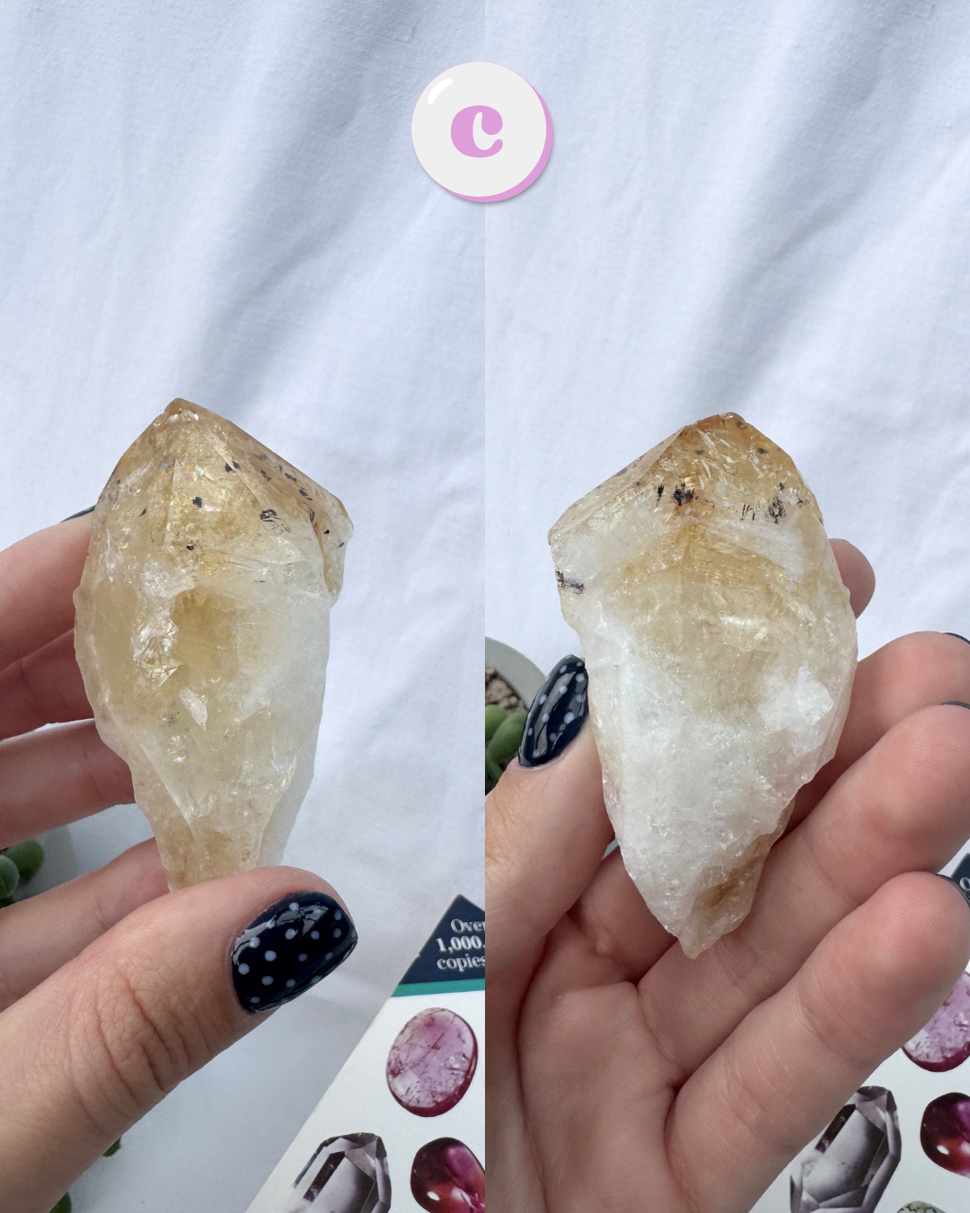 Citrine Raw Roots | Oven Baked