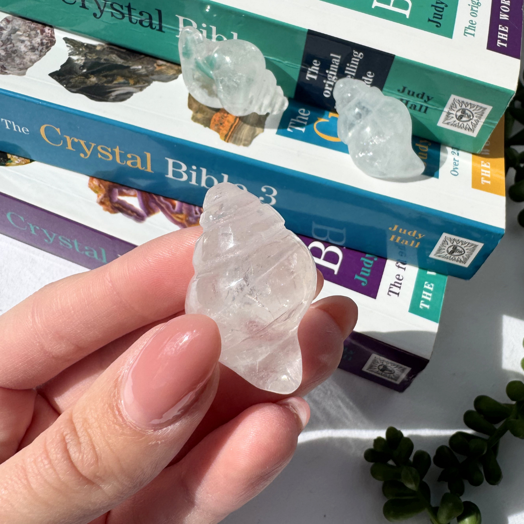 Conch Clear Quartz Shells