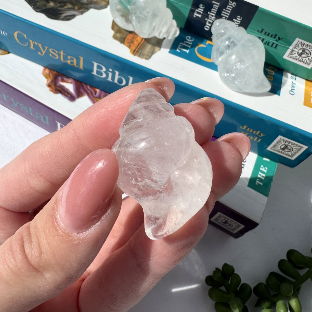 Conch Clear Quartz Shells