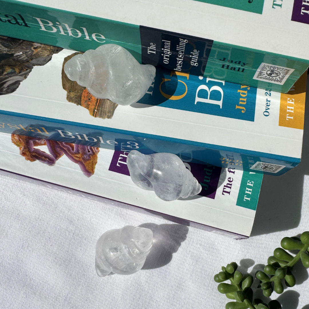 Conch Clear Quartz Shells