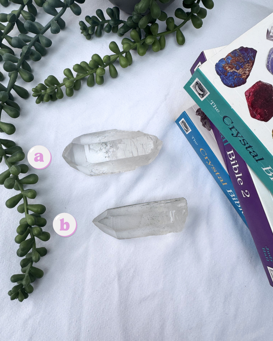 Garden Quartz Points