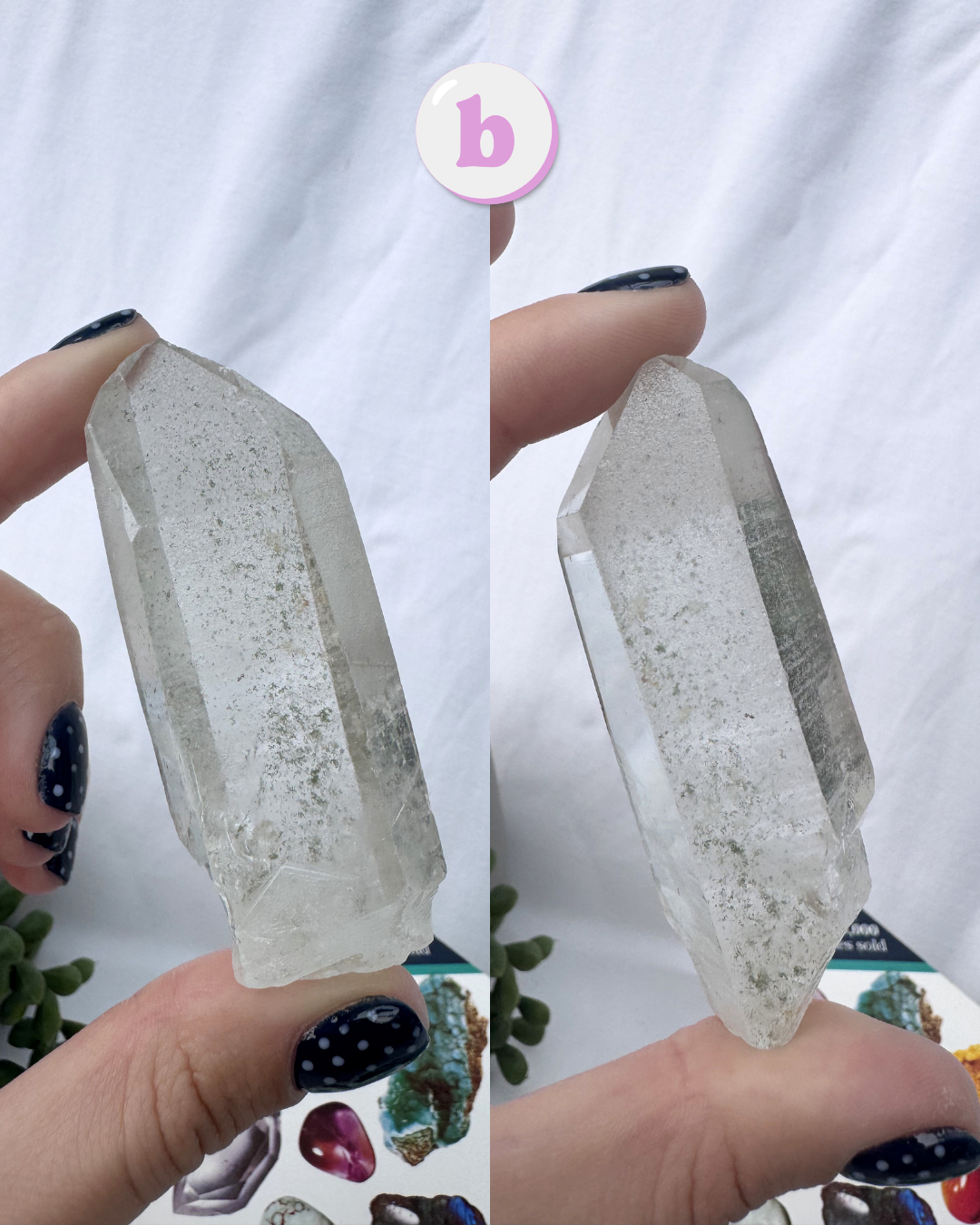 Garden Quartz Points