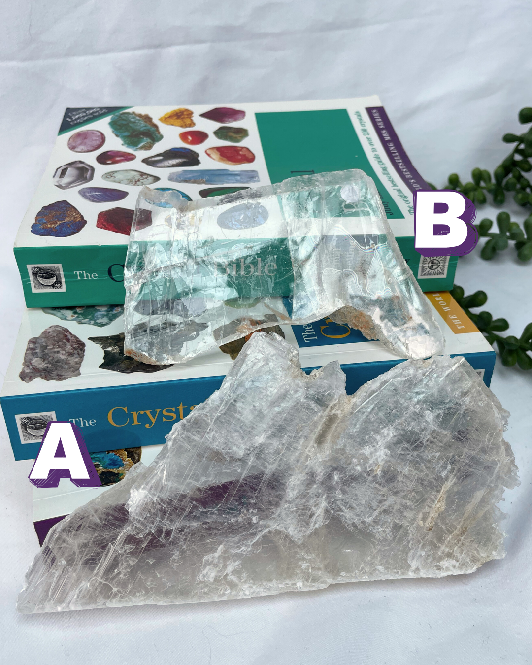 High Grade Fishtail Selenite