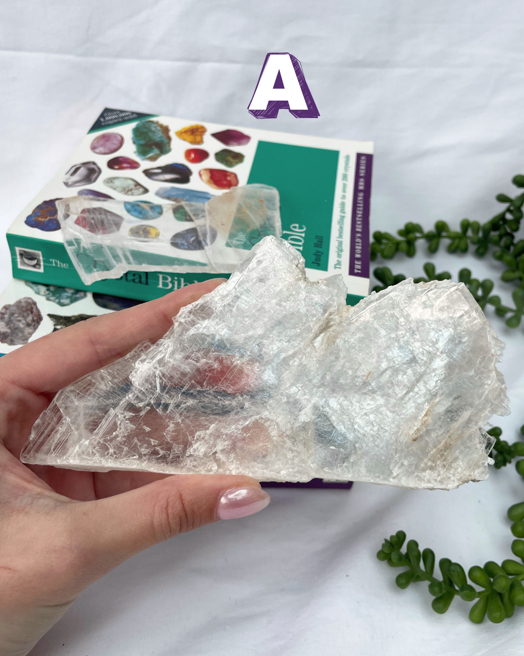 High Grade Fishtail Selenite