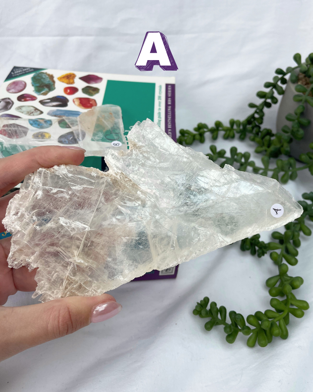 High Grade Fishtail Selenite