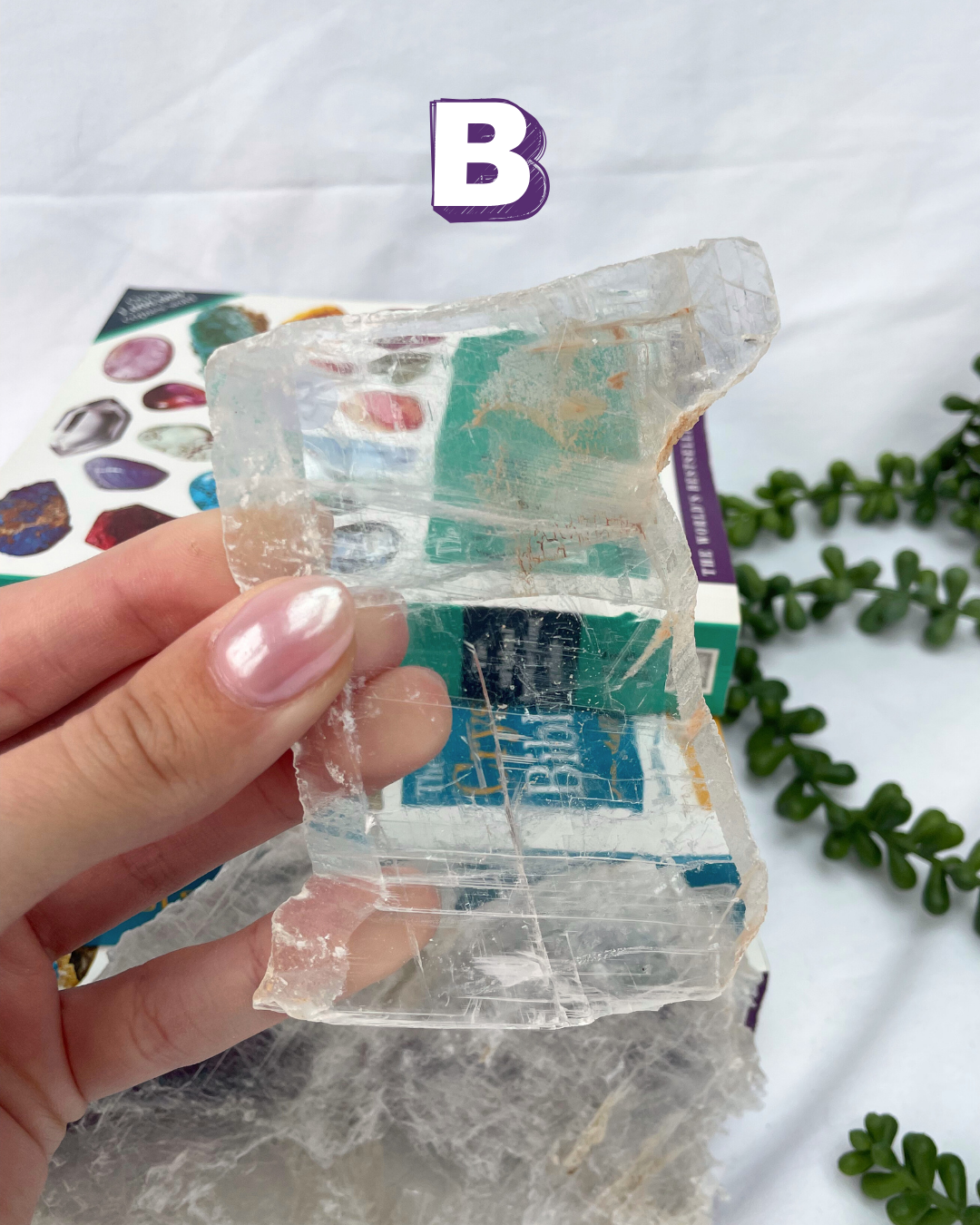 High Grade Fishtail Selenite