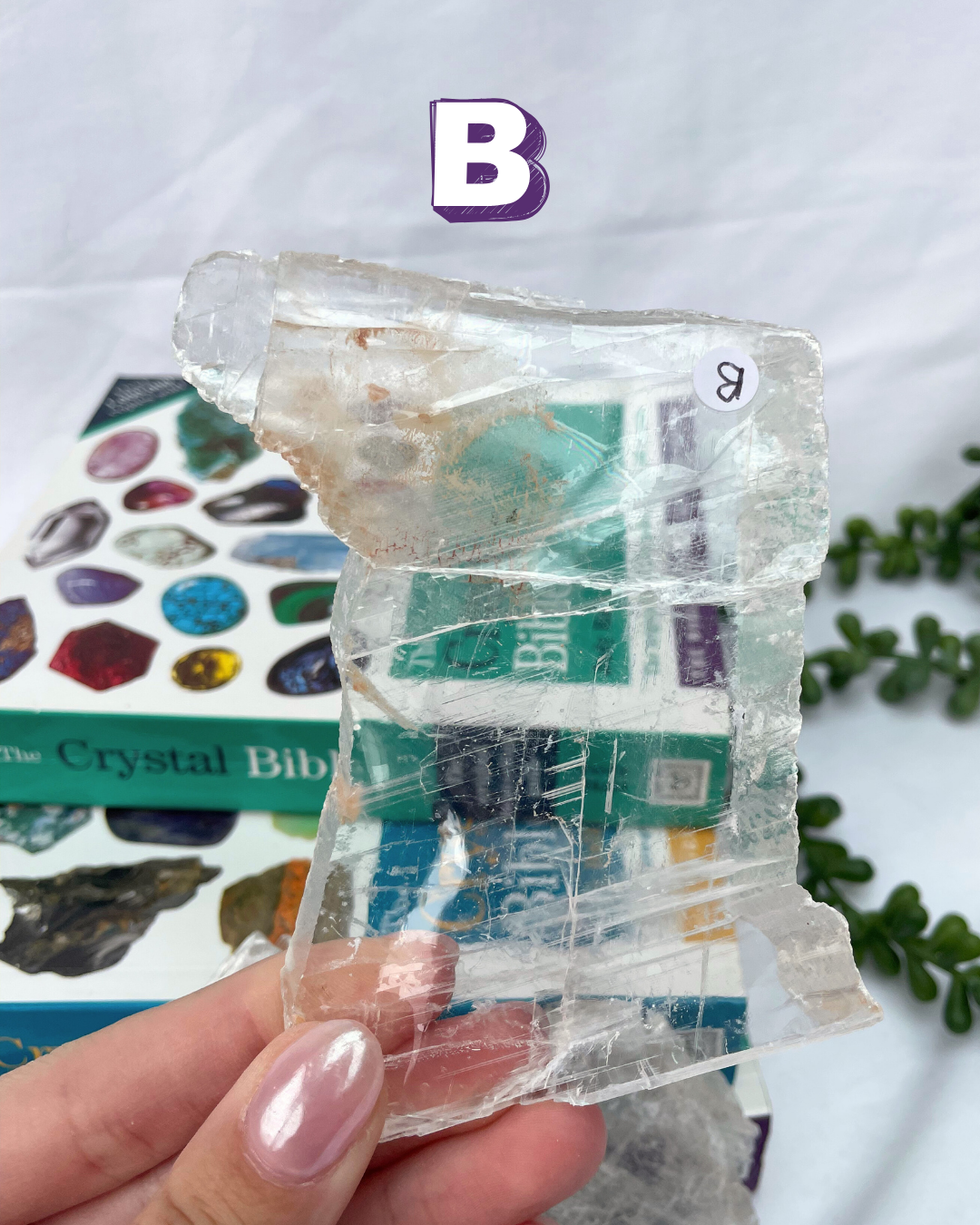 High Grade Fishtail Selenite