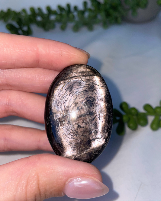 Hypersthene AA+ Grade Palmstone