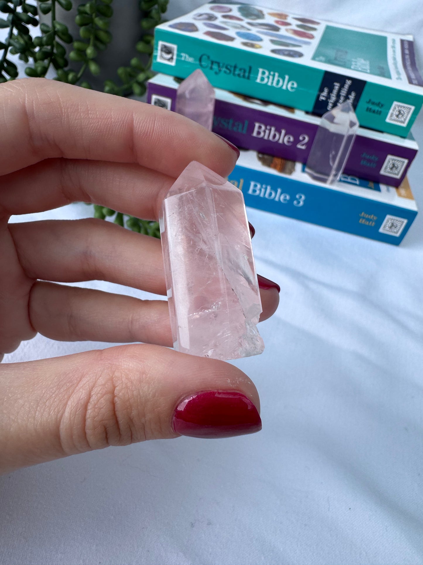 Rose Quartz A Grade Mini Towers