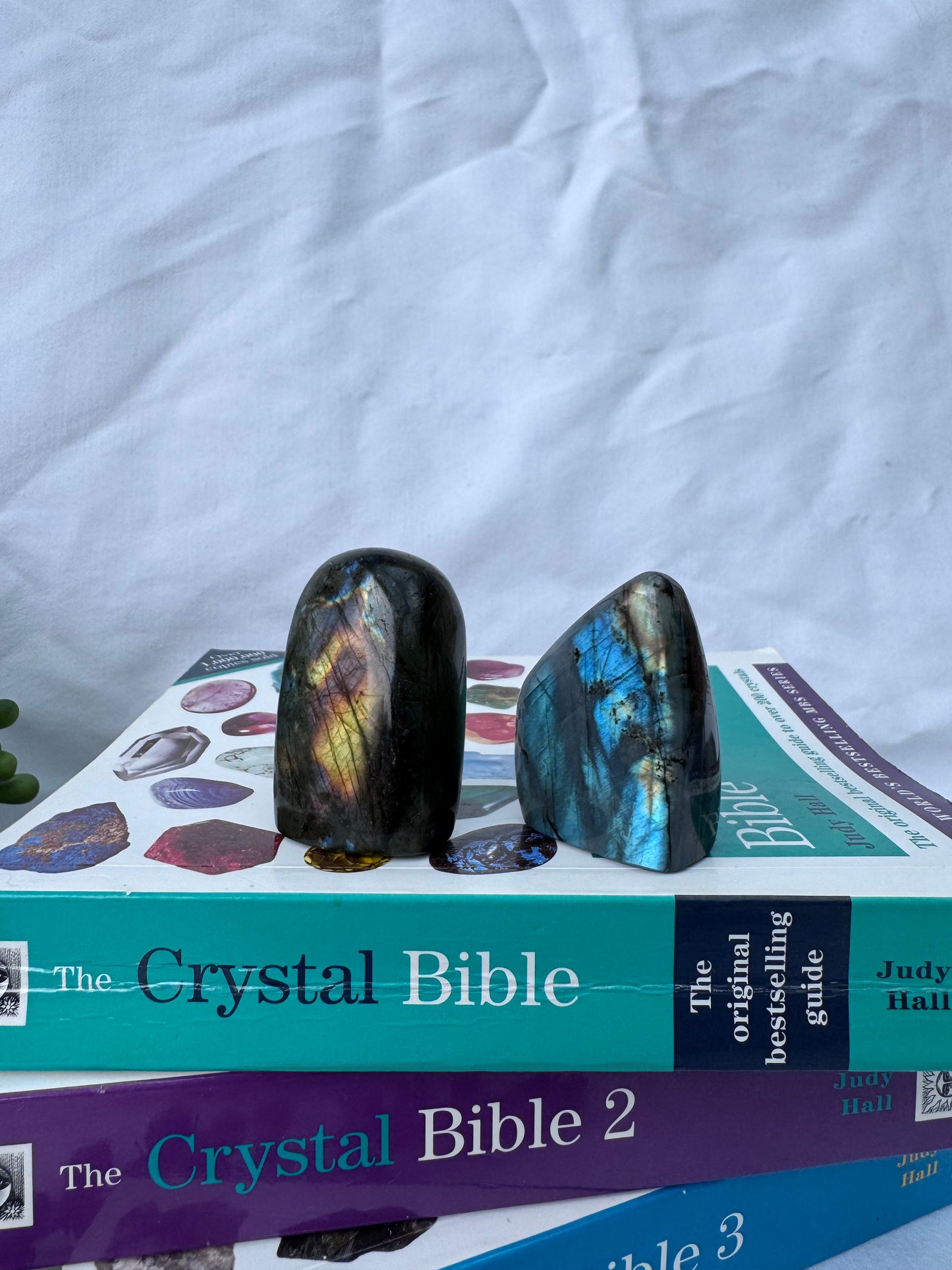 Small Labradorite Freeforms