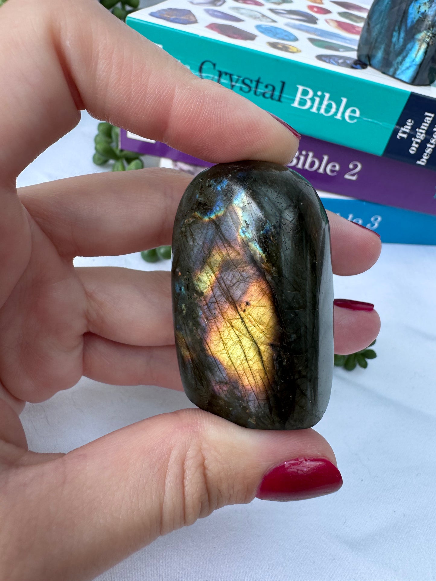 Small Labradorite Freeforms