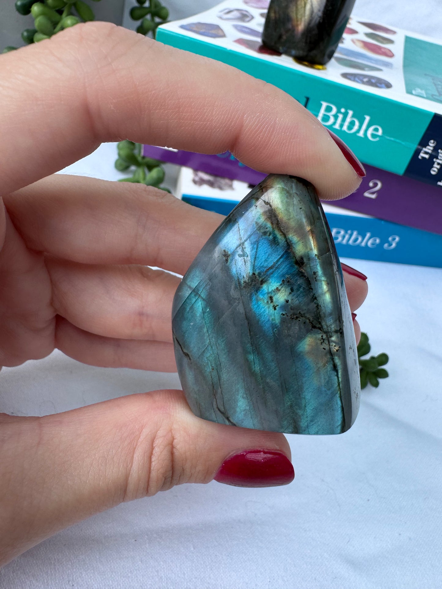 Small Labradorite Freeforms