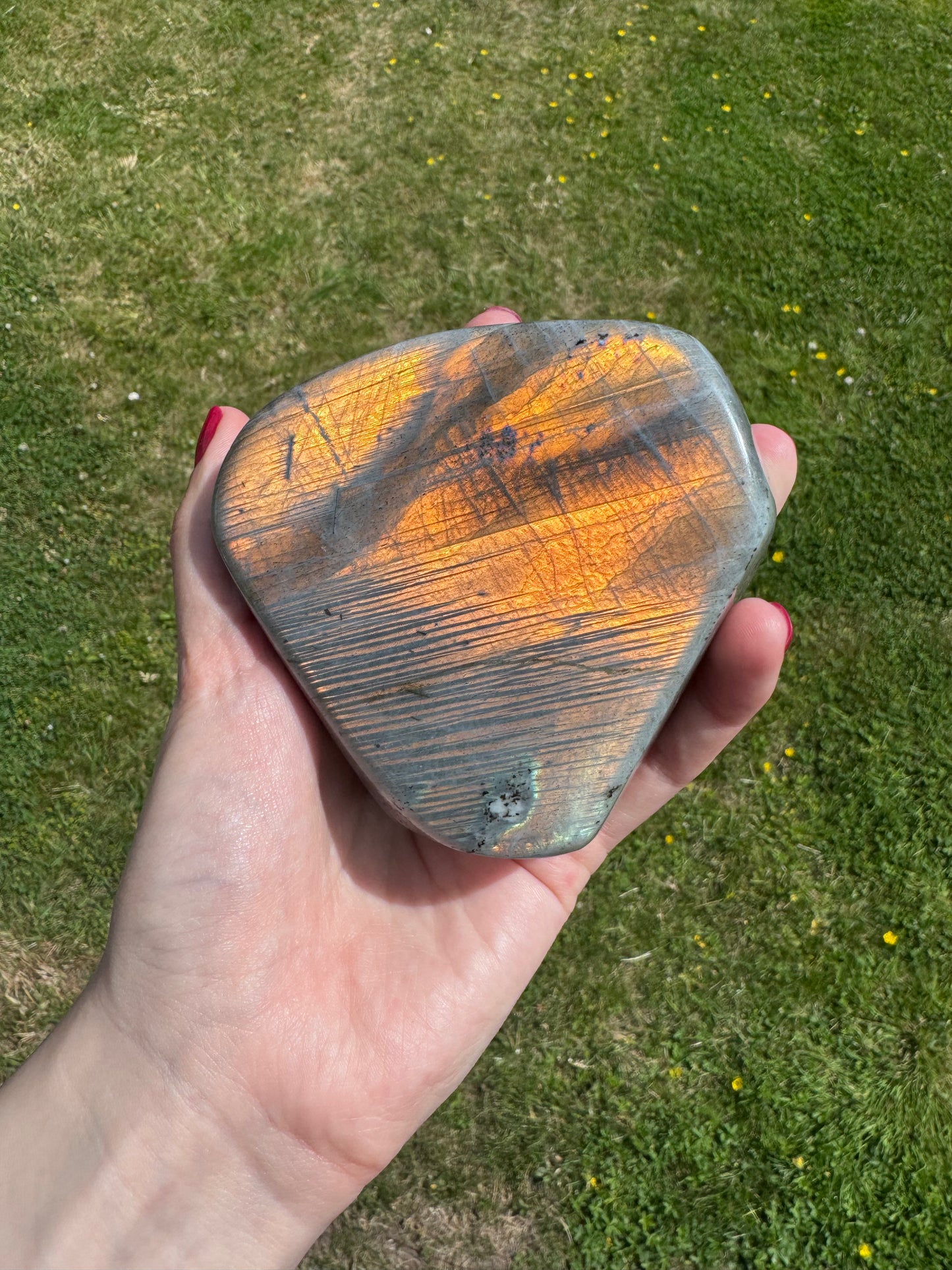 Gold Flash Labradorite Freeform D