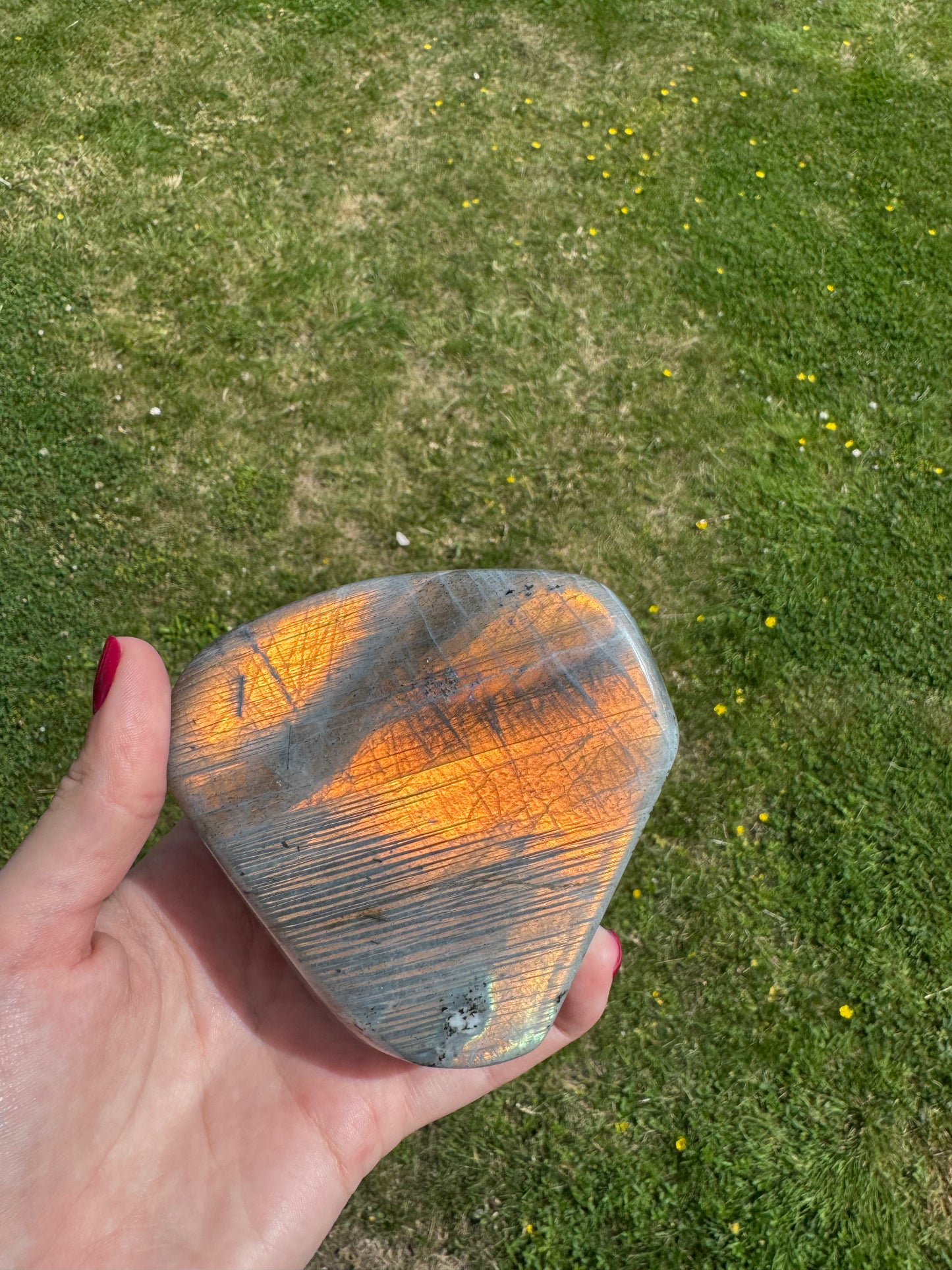 Gold Flash Labradorite Freeform D