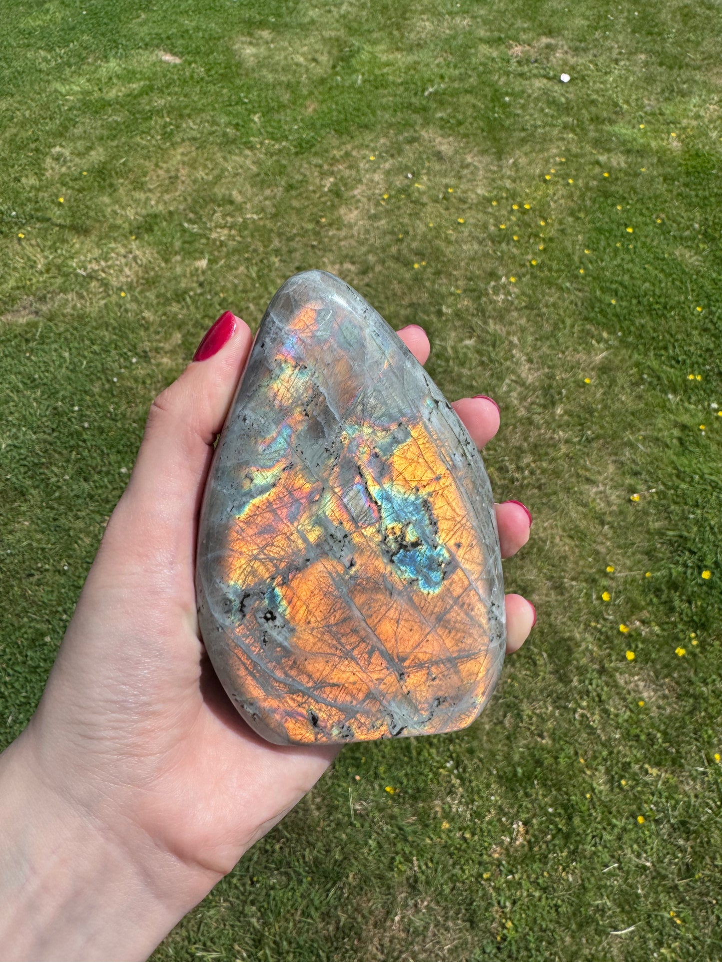 Gold Flash Labradorite Freeform C