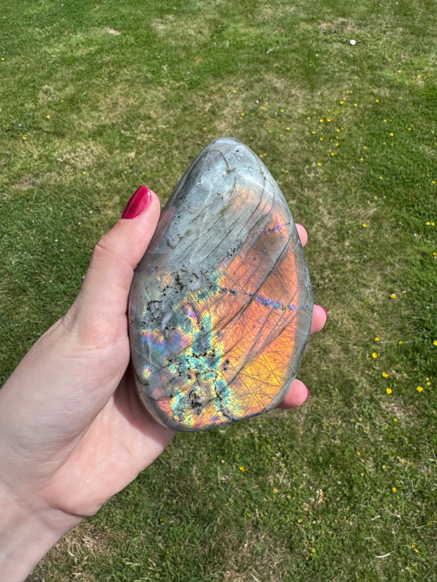 Gold Flash Labradorite Freeform C
