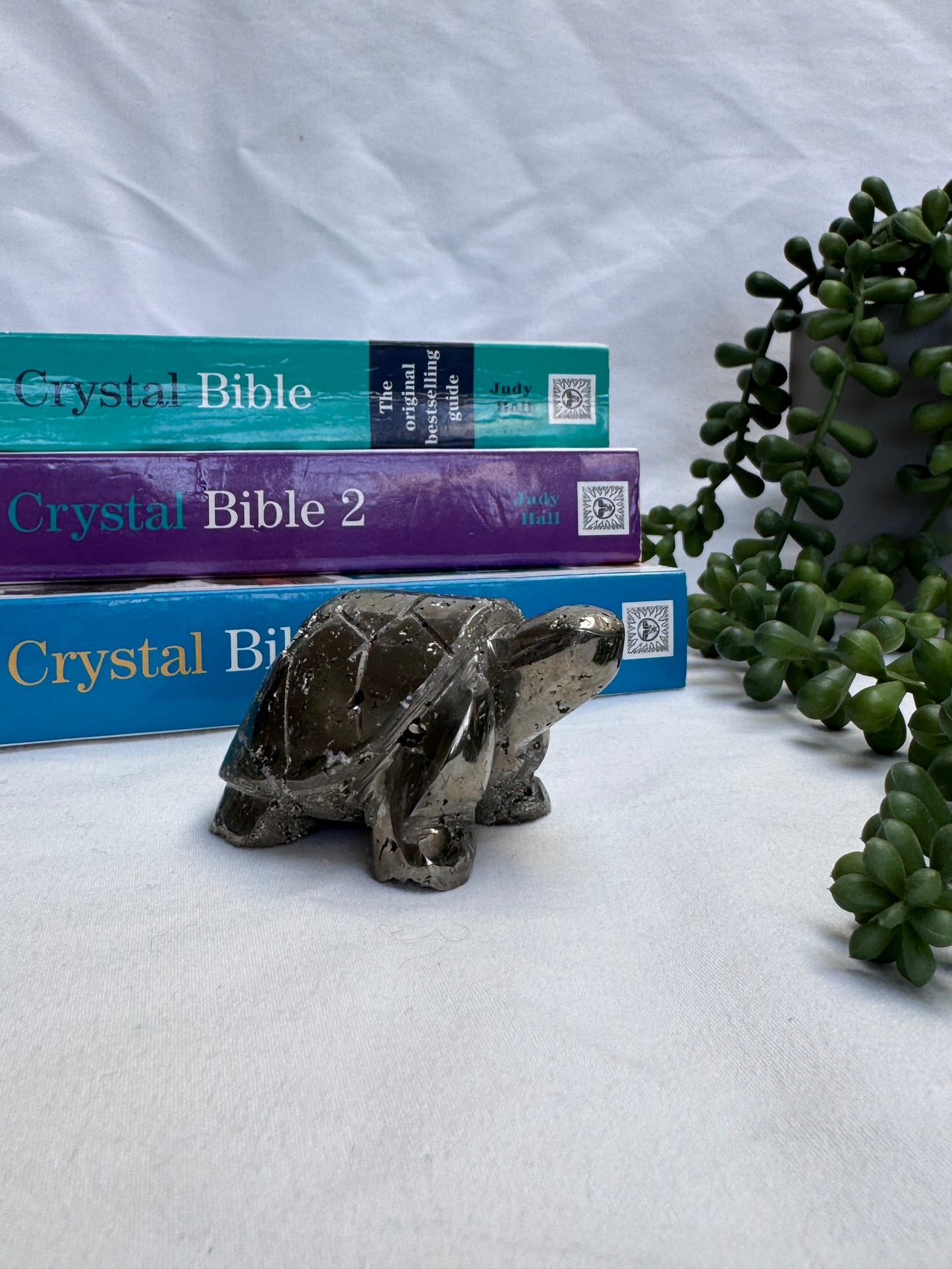 Peruvian Pyrite Turtle