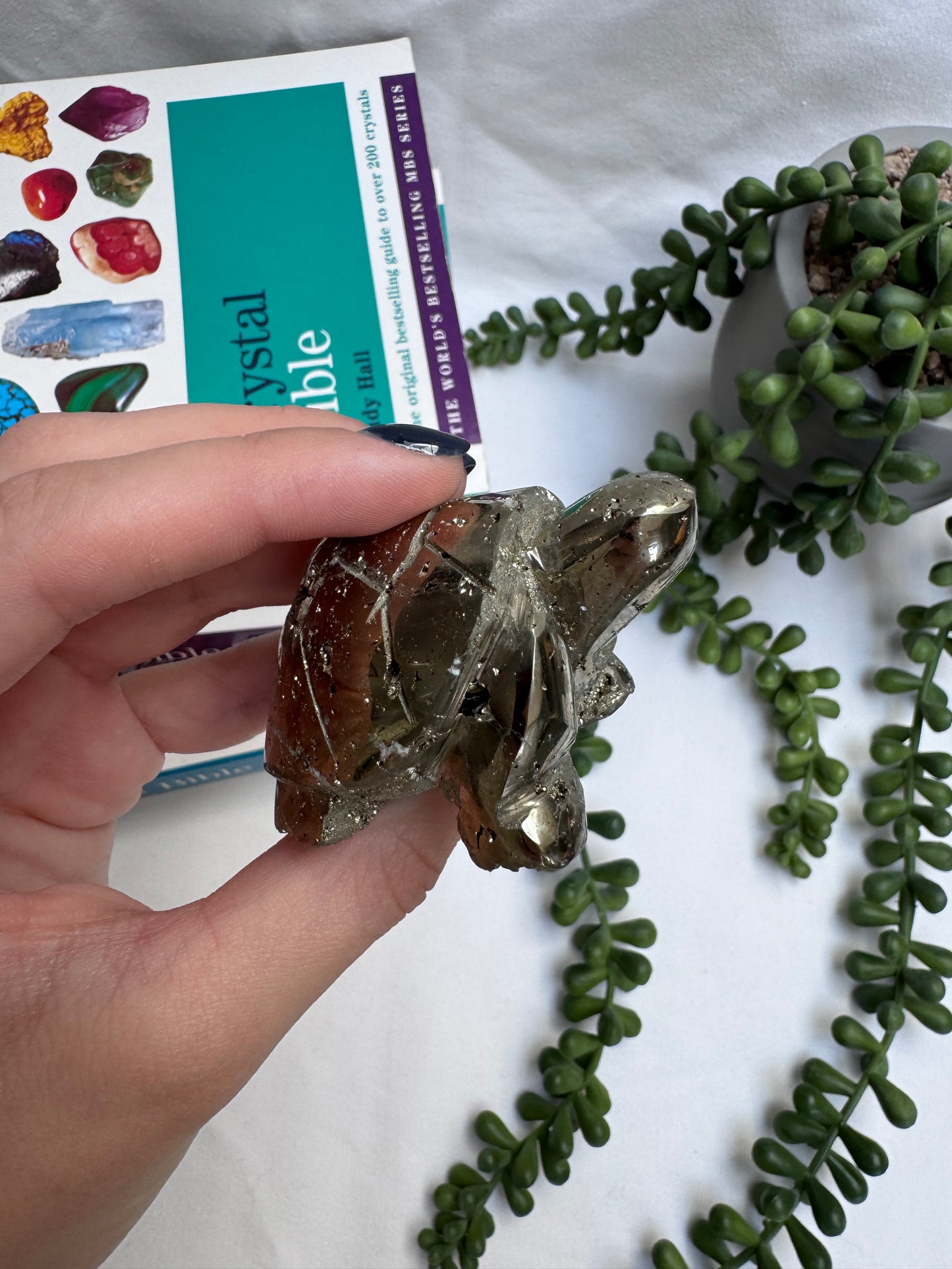 Peruvian Pyrite Turtle