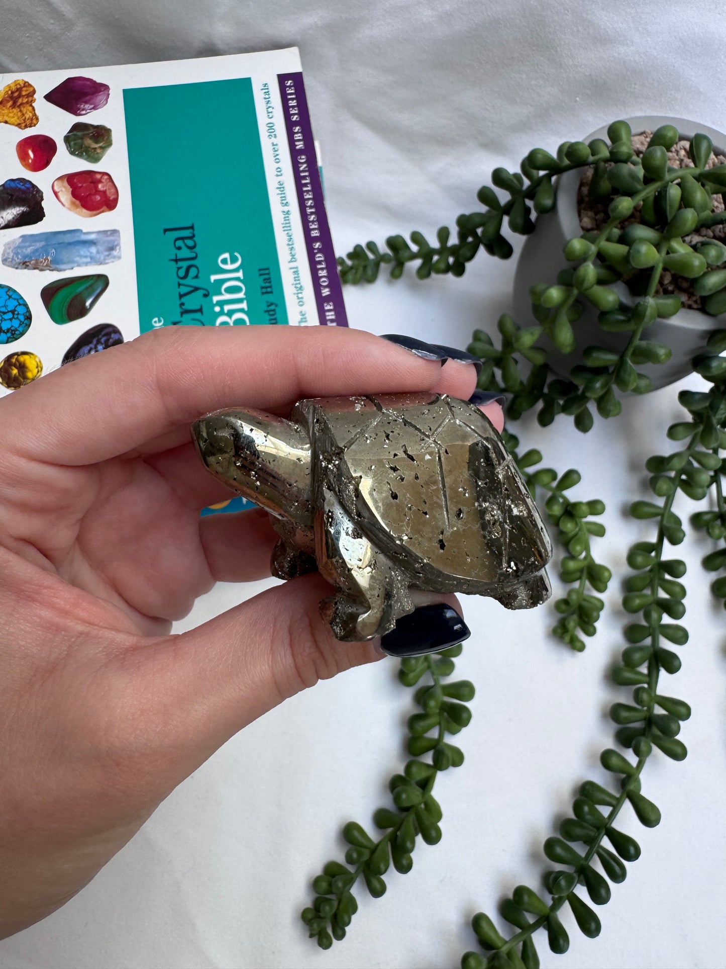 Peruvian Pyrite Turtle