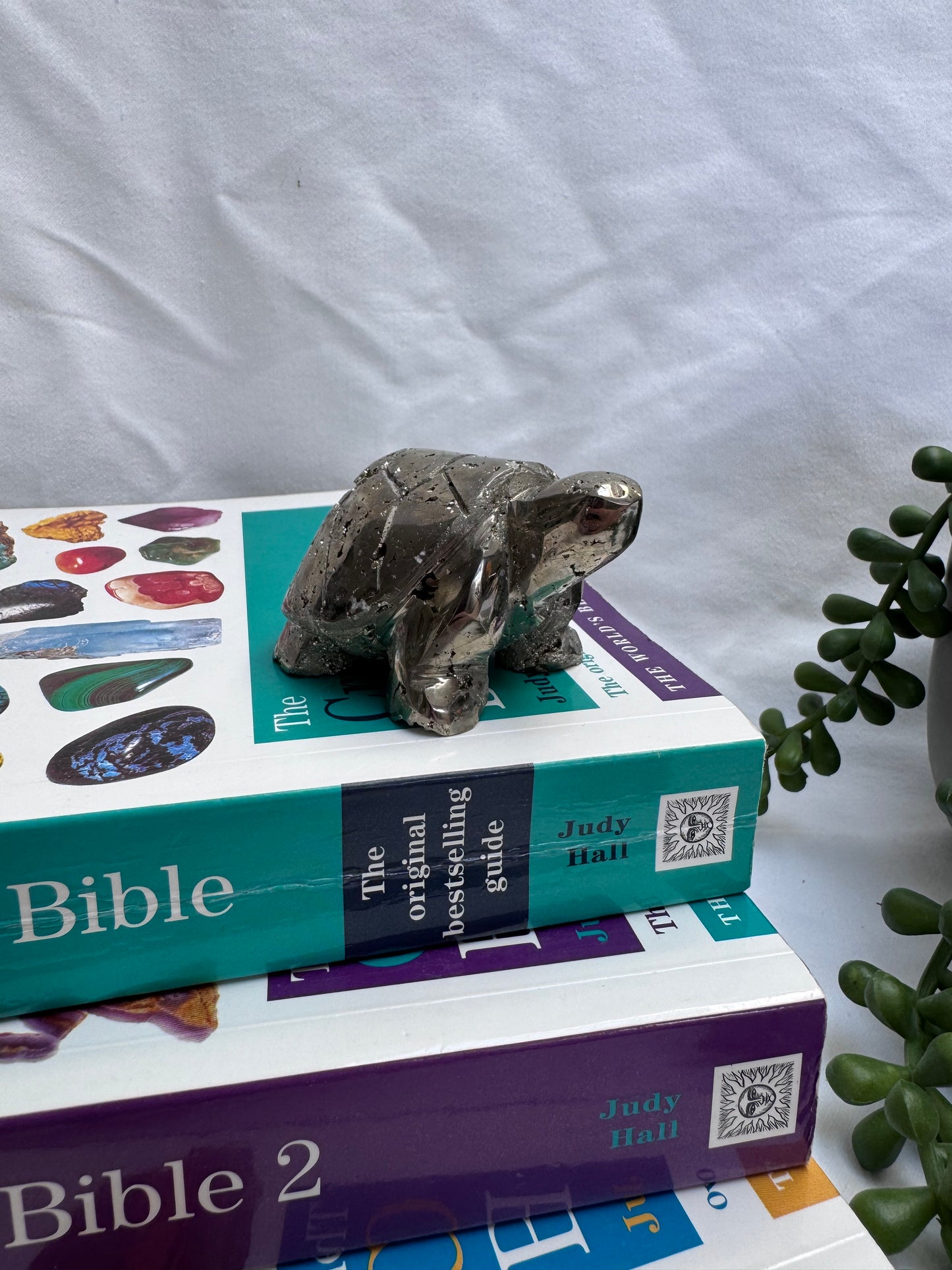Peruvian Pyrite Turtle